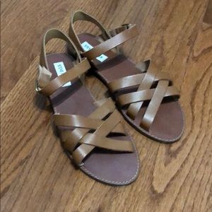 Steve Madden Sweeti Cognac Sandals 9.5